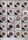 9907509 Australia Coins LOT HiCV Nice!