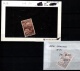 9914392 New Zealand Sc 91,114 MINT H  HiCV  