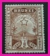 P2Ttt38 Brunei 1895 .5c M $9.80